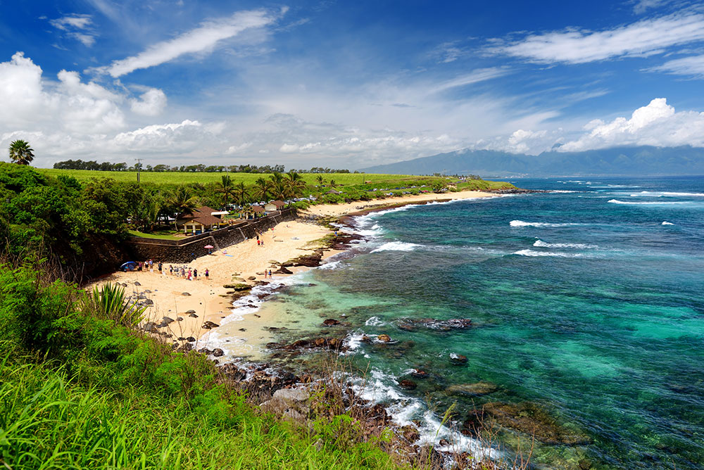 An Update From Maui — June 2026