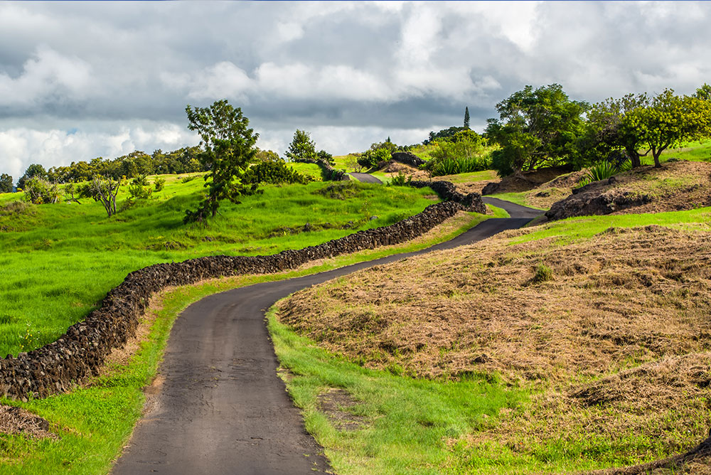 An Update From Maui — December 2025