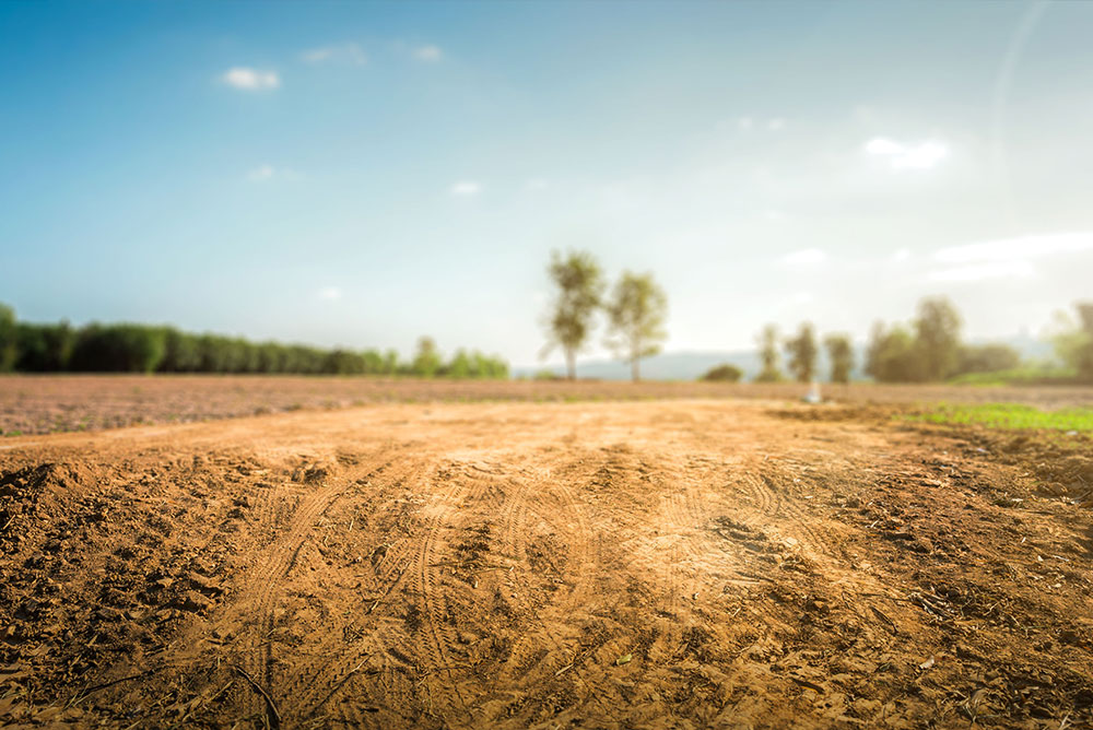 Vacant Land