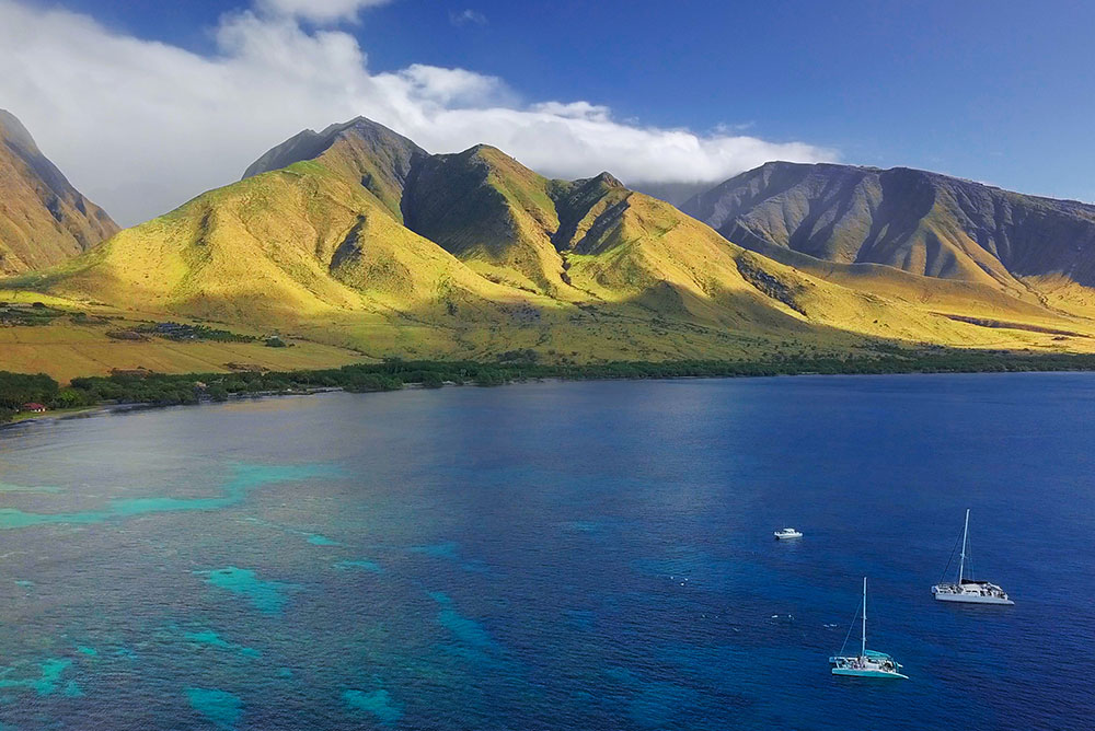 An Update From Maui — November 2025