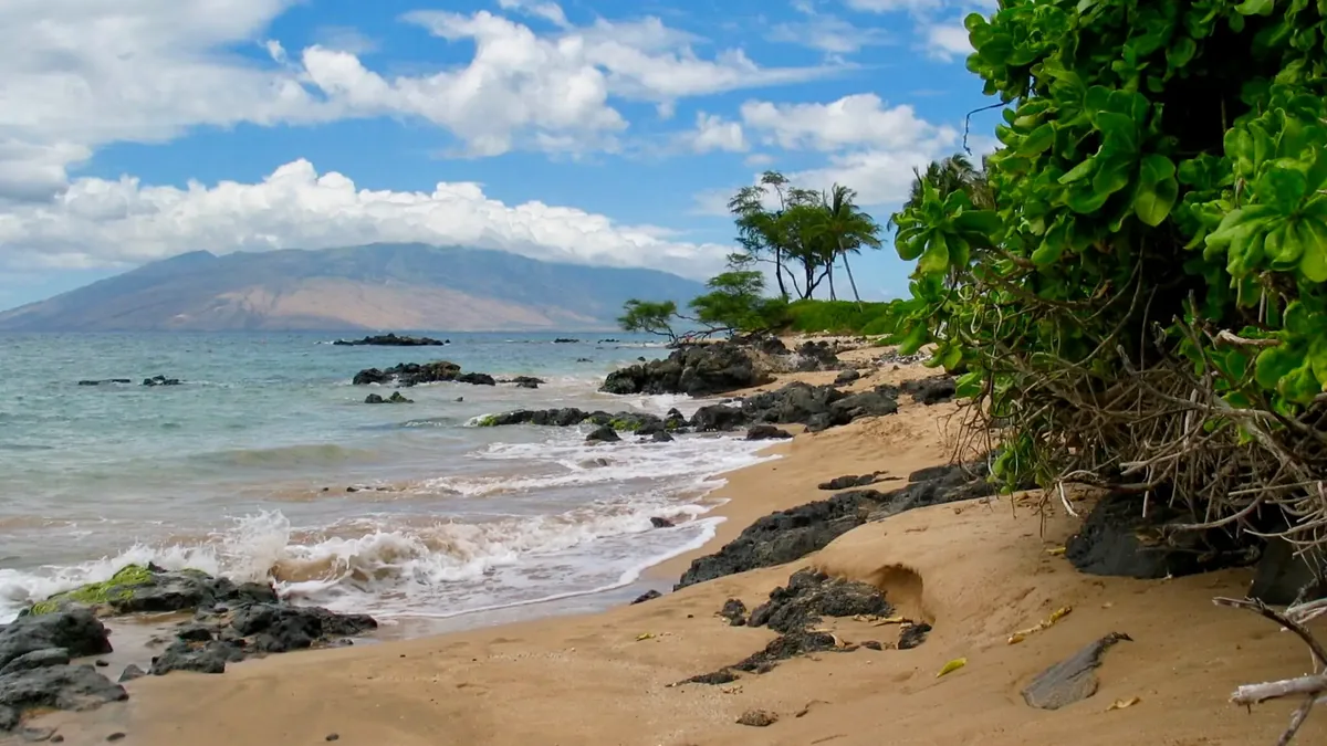 Bill 9, Bill 88, and the Minatoya List: Where Maui's Short-Term Rental Rules Stand