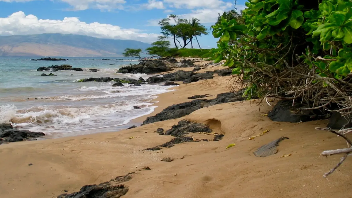 Two Weeks That Moved the Maui Vacation Rental Rules in Opposite Directions
